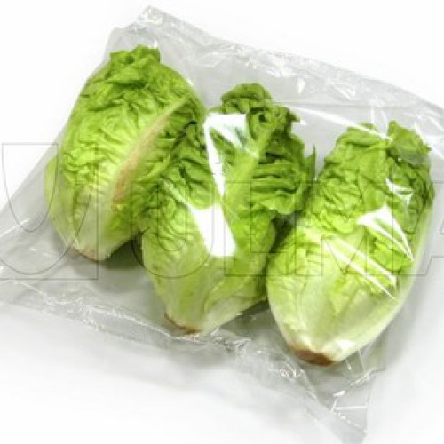 România în fața europenelor: salatele ambalate pot fi contaminate cu parazitul Toxoplasma gondii