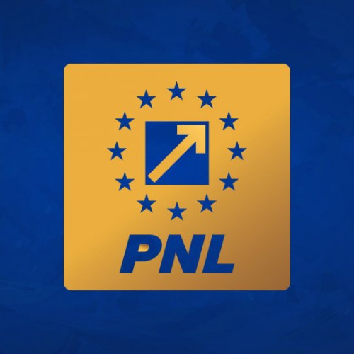 Partidul Național Liberal se pregătește pentru alegerea noii conduceri în cadrul unui congres extraordinar