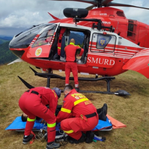 Un cioban din Azuga, grav rănit după atacul unui urs