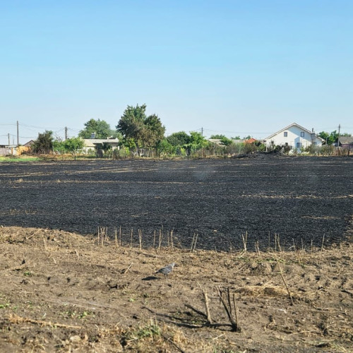 Tineri suspectați de incendiere frecventă lângă azilul din Poarta Alba