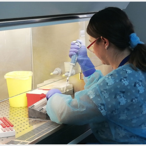 Bihor: Campanii de control și sancțiuni în domeniul siguranței alimentare și sănătății animalelor