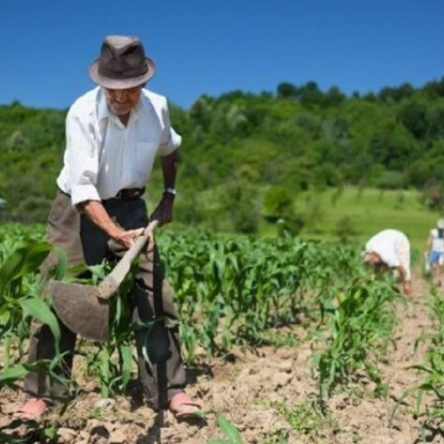 firma din domeniul agricol sancționată cu 200.000 de lei pentru muncă la negru