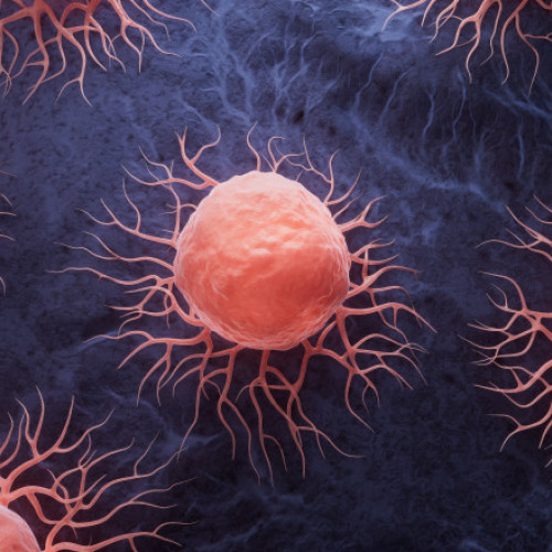 descoperire importantă privind imunoterapia împotriva cancerului