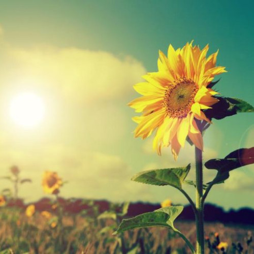 Prognoza meteo pentru următoarele patru săptămâni în România