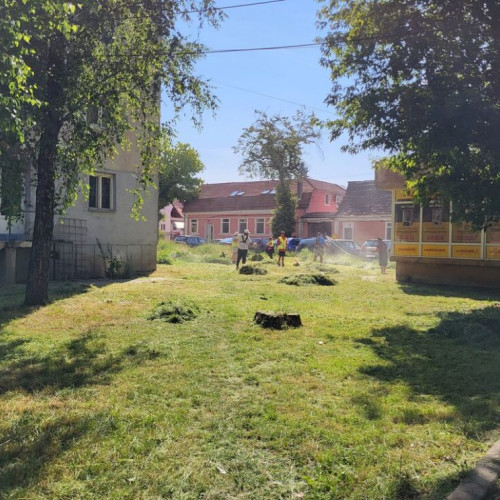 probleme cu întreținerea spațiilor verzi în Bistrița din cauza lipsei personalului profesionist
