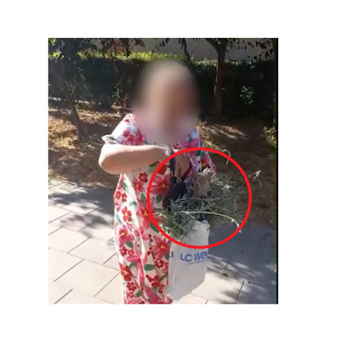 Primăria Constanța face apel la cetățeni pentru protejarea spațiilor verzi