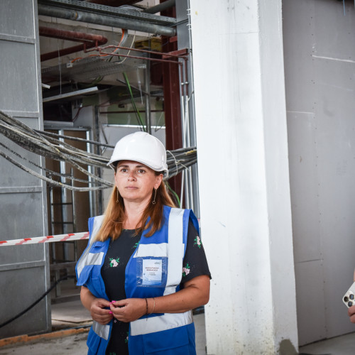 Luminita Gherendi, respinsă în vot pentru funcția de administrator provizoriu la Romgaz