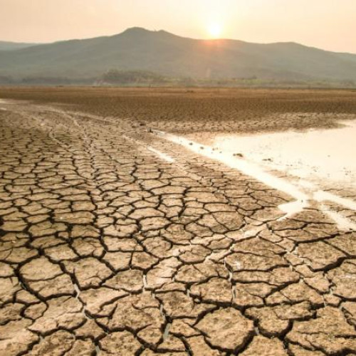 Cluj: fermierii pot solicita despăgubiri pentru culturile afectate de secetă