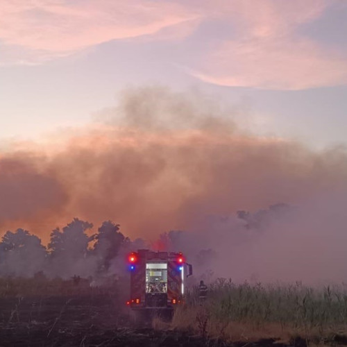 Incendii de vegetație în județul Constanța: intervenții active ale pompierilor