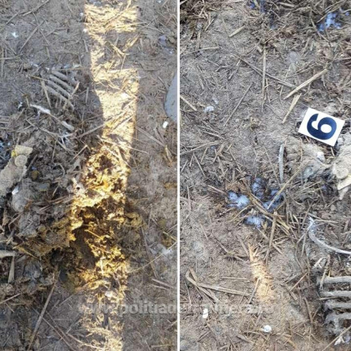 judecătorii din cumpănesc condamnare pentru poluare și gestionarea deșeurilor în cazul navei Queen Hind