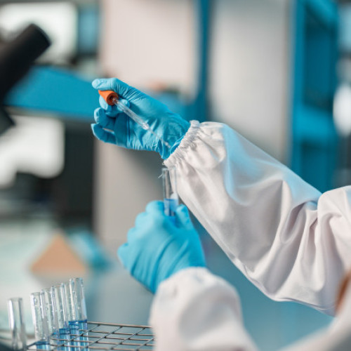 antraxul, o boala contagioasa cu risc pentru oamenii si animalele