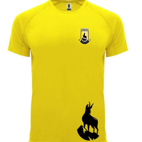 anunț privind vânzarea abonamentelor pentru meciurile csm ceahlăul