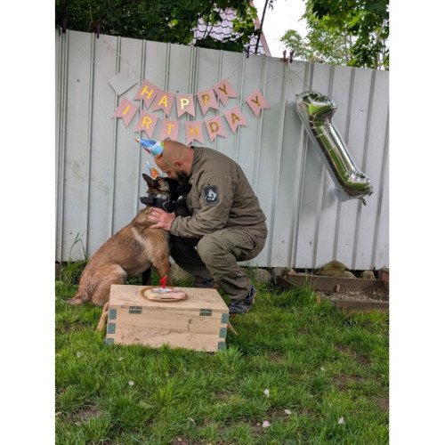 loki și patrick formează o echipă de succes în cadrul ipj neamț