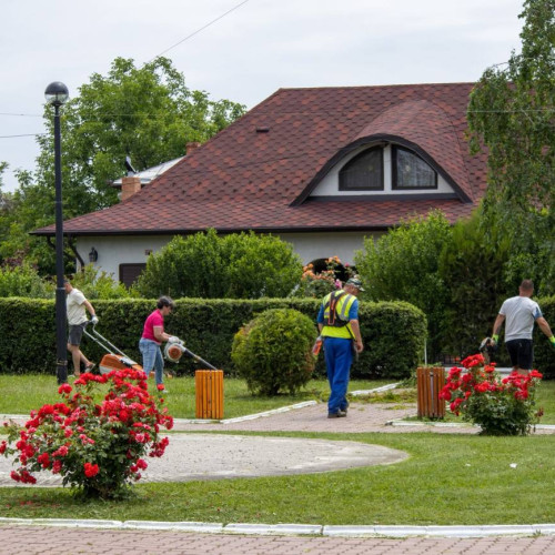Vacanța de vară, momentul mult așteptat pentru mulți români, aduce bucurie și reuniri speciale, mai ales pentru familiile care au membri plecați peste hotare. Pentru părinți și bunici care stau departe de cei dragi, aceste zile apar ca niște ocazii rare de a se vedea și de a petrece timp împreună. În localitatea Aninoasa, situația este mai specială, notează visita de pe pagina primarului Vladut Niculae.