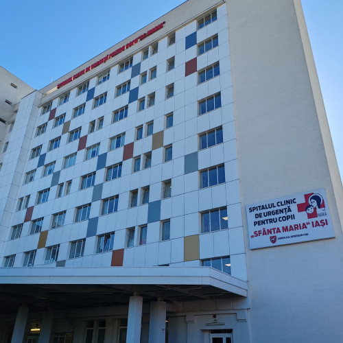 Mama din Botoșani condamnata pentru tentativa de suicid în hotelul Tineret