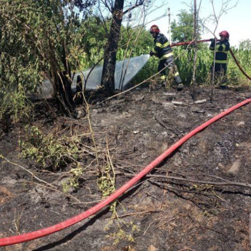 Incendiu de vegetație uscată afectează o gospodărie din Mihălășeni