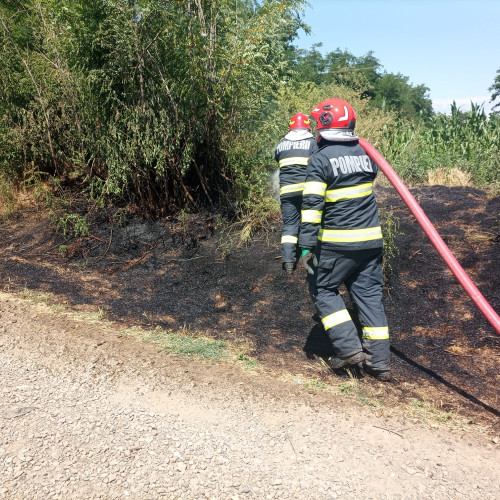 Incendiu de vegetație uscată aproape de case în Mihălășeni