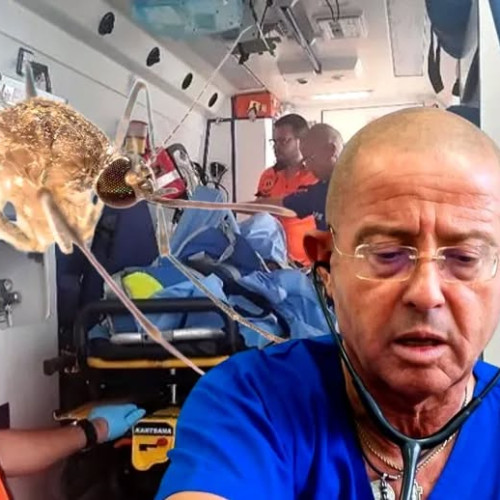 Avertisment de la medicul Tudor Ciuhodaru privind riscul de malarie în România