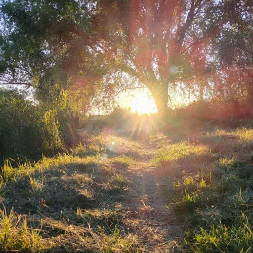 Vreme caniculară în România săptămâna viitoare, cu instabilitate atmosferică