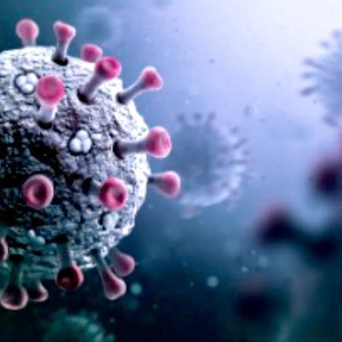 Tulpina XFG, cunoscută ca Stratus, devine dominantă în lume, avertizează OMS