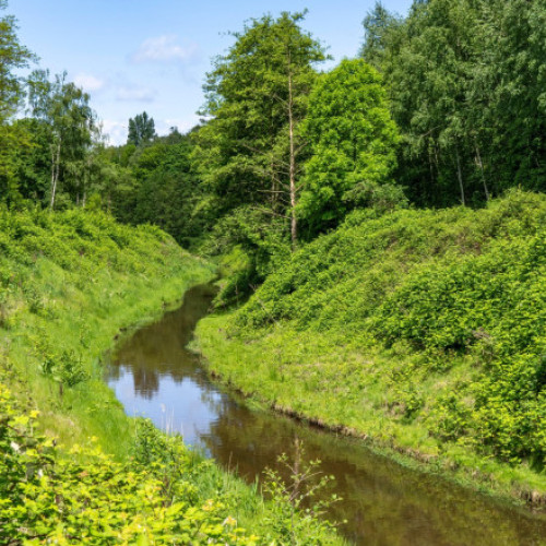 Emscher, din canal de scurgere industrială, a devenit un loc de natură înfloritoare în Germania