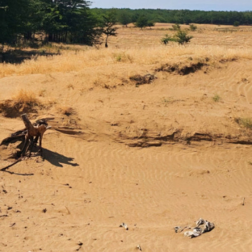 România își consolidează eforturile pentru combaterea deșertificării în sudul țării