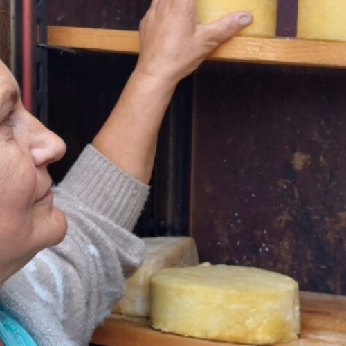 Cascavalul de Penteleu: un simbol al patrimoniului culinar din Buzău