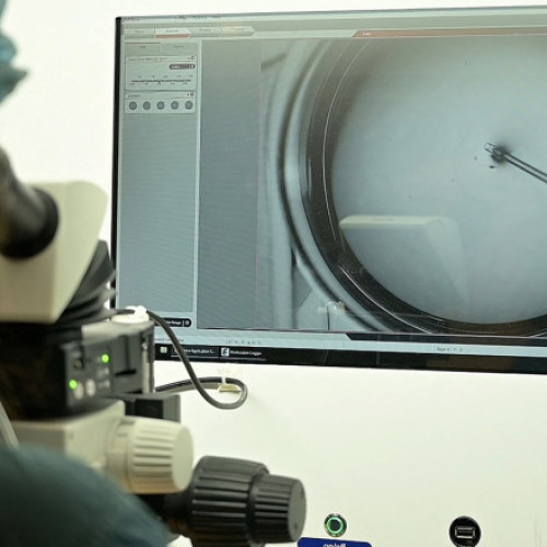 clínicile de fertilitate din Coreea de Sud, un semn de speranță pentru îmbunătățirea situației demografice