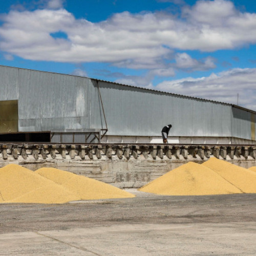 relansare a terminalului cheie pentru exportul de cereale din Ucraina de către investitorii americani