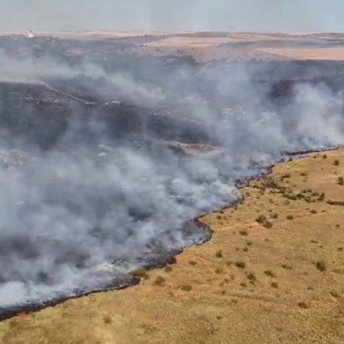 Incendiu devastator în rezervatie, localnicii și pompierii luptă pentru stingere