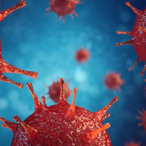 Un bărbat a murit de ciumă în Arizona, primul deces din 2007 în SUA