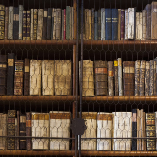 Biblioteca unei mănăstiri din Ungaria, aflată în pericol din cauza infestării cu insecte, a fost supusă unui proces de salvare a celor aproximativ 100.000 de volume, relatează digi24.ro. Mănăstirea Benedictină din Pannonhalma, extrem de veche și parte a Patrimoniului UNESCO, a început să-și scoată cărțile de pe rafturi pentru a le dezinfecta după ce au fost descoperite semne clare ale unei infestări masive cu insecte mici.