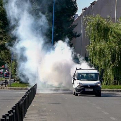 activități de dezinsecție și deratizare în brasov în perioada 21-31 iulie 2025