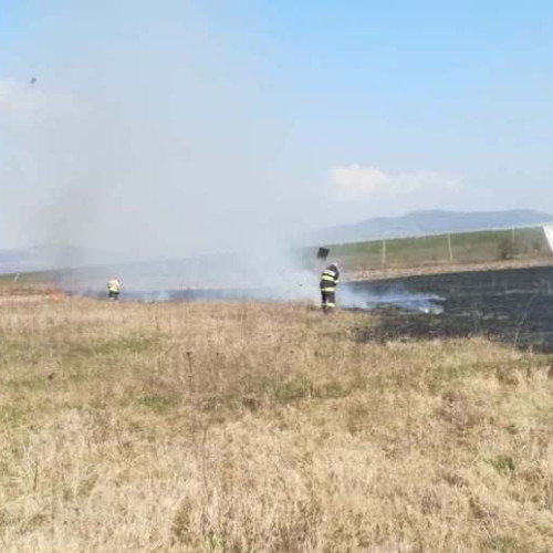 Incendiu la Oiejdea: lan de grâu cuprins de flăcări