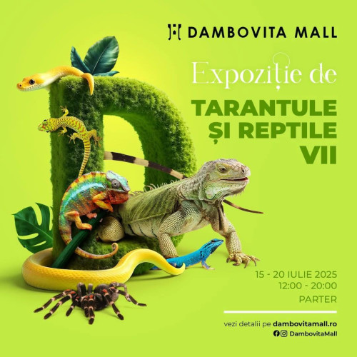 expoziție cu tarantule și reptile vii la dambovita mall