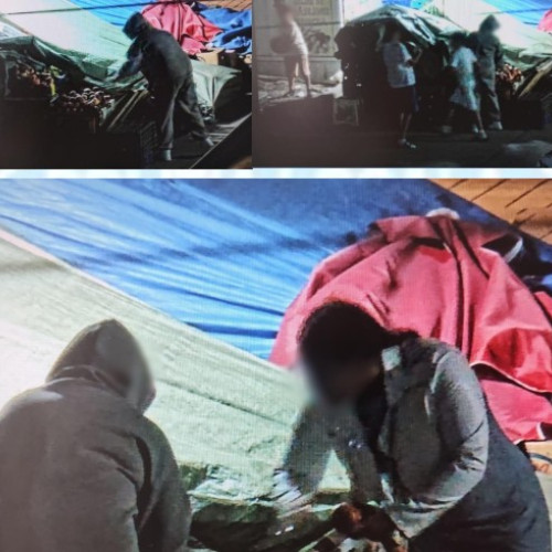 Tineri surprinși în timp ce furau legume din Piața Centrală din Botoșani