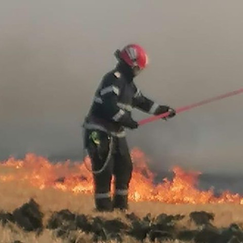 Incendiu de vegetație în apropierea satului Greci din județul Tulcea