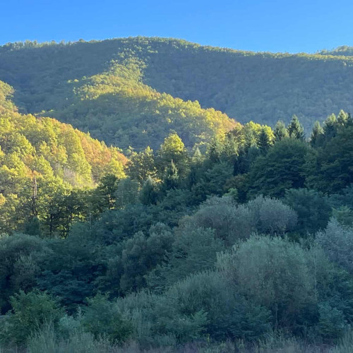 Prognoza meteo pentru sfârșitul lui iulie în România: vreme caldă și perioade de instabilitate atmosferică