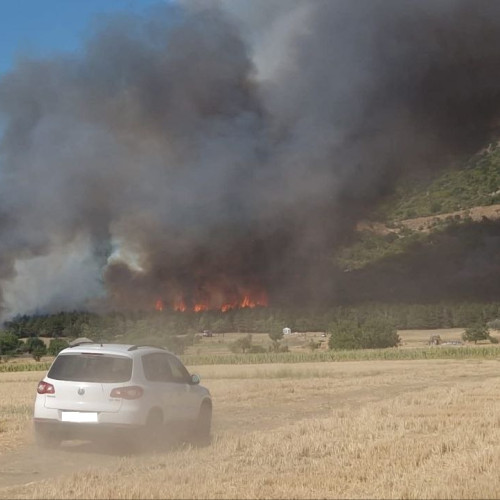 Incendiu de amploare în pădurea din apropierea localității Greci