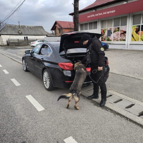 trafic intens în seini: polițiștii au verificat 25 de autovehicule în cadrul unei acțiuni de prevenire