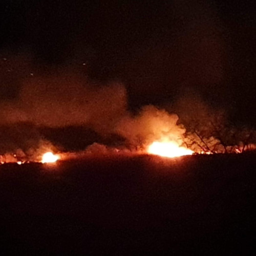 Incendiu în centrul comunei Cogealac