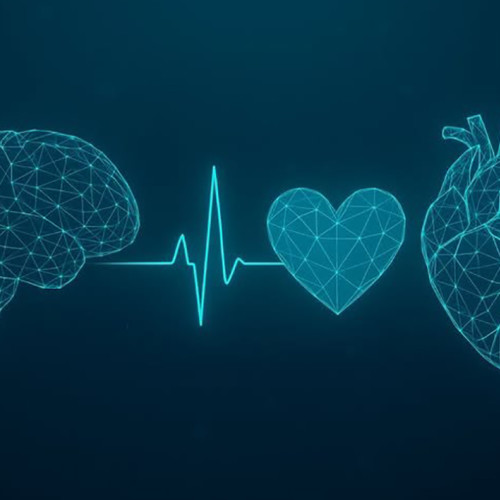 România lansează o strategie pentru combaterea bolilor cardiovasculare și cerebrovasculare