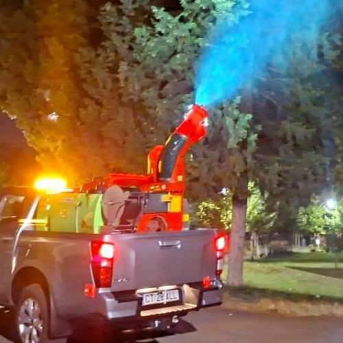 Primăria Constanța face apel la cetățeni pentru acțiuni de dezinsecție