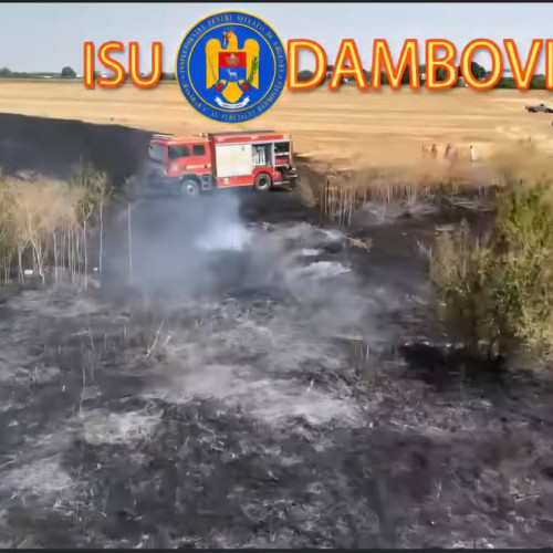 incendii de vegetație uscată în Dâmbovița: autoritățile avertizează că vremea favorizează incendiiile