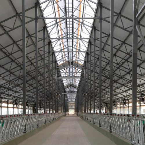 Construcție de hale pentru depozitarea și procesarea legumelor în județul Constanța