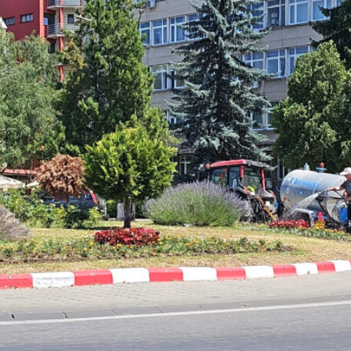 Deva Are Spații Verzi și Locuri de Joacă Îngrijite pentru Sezonul Estival