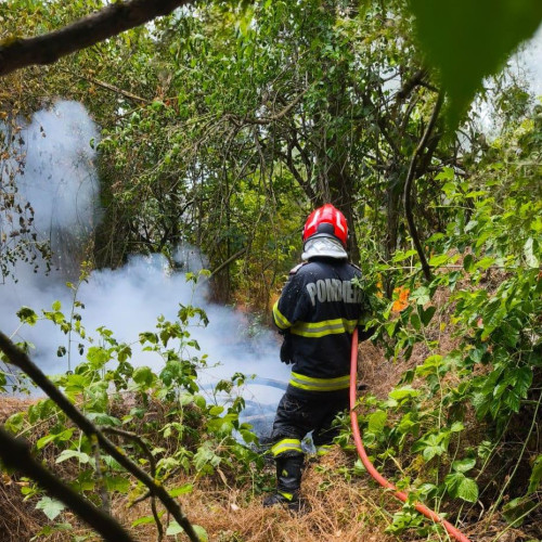 Incendiu de vegetație în Munții Măcinului, stins cu ajutorul elicopterului Black Hawk