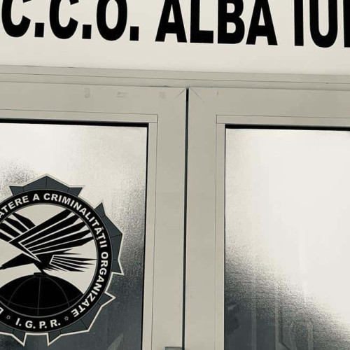 trafic de droguri, trimis în judecată după ce a introdus în țară peste patru kilograme de canabis