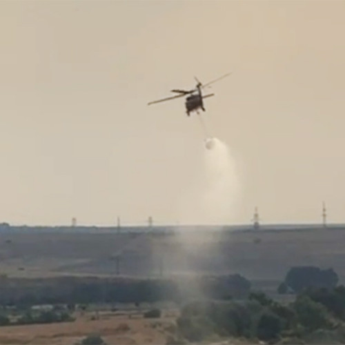 Incendiu în Dobrogea: camion cu baloti, cuprins de flăcări și extindere rapidă la pădure