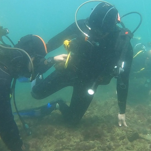 anunț pentru servicii de scafandrerie pentru litoralul românesc